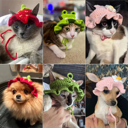 Cross-Border Selling Cat and Dog Hats Hand-Knitted Hats Travel Pet Cute Mini Hats